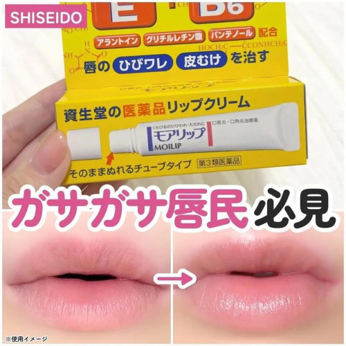 LY920 日本境內版資生堂 冬季唇部症狀 專業藥用護唇膏8g