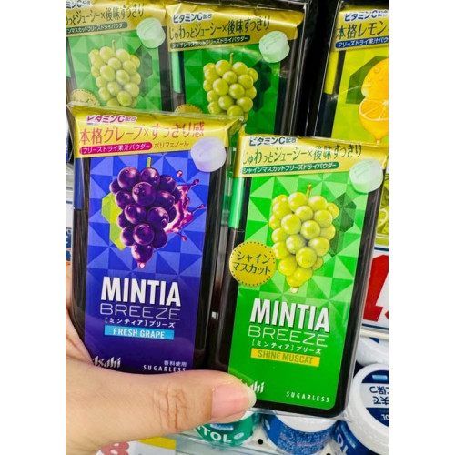 LY1444 日本 Asahi MINTIA BREEZE 清涼薄荷糖系列