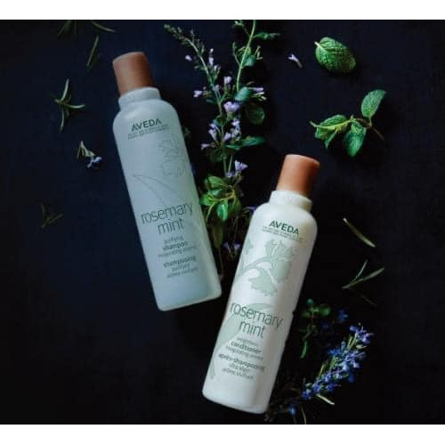 LY198 美國AVEDA 迷迭薄荷洗髮精250ml +潤髮乳250ml (無附壓頭)