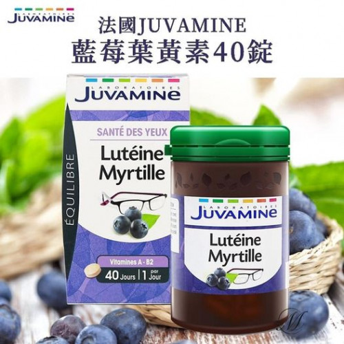 LY344  法國JUVAMINE藍莓葉黃素40錠 