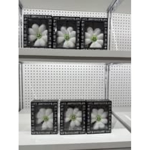 LY838 G-Dragon ZO&FRIENDS 白色小花 鑰匙圈